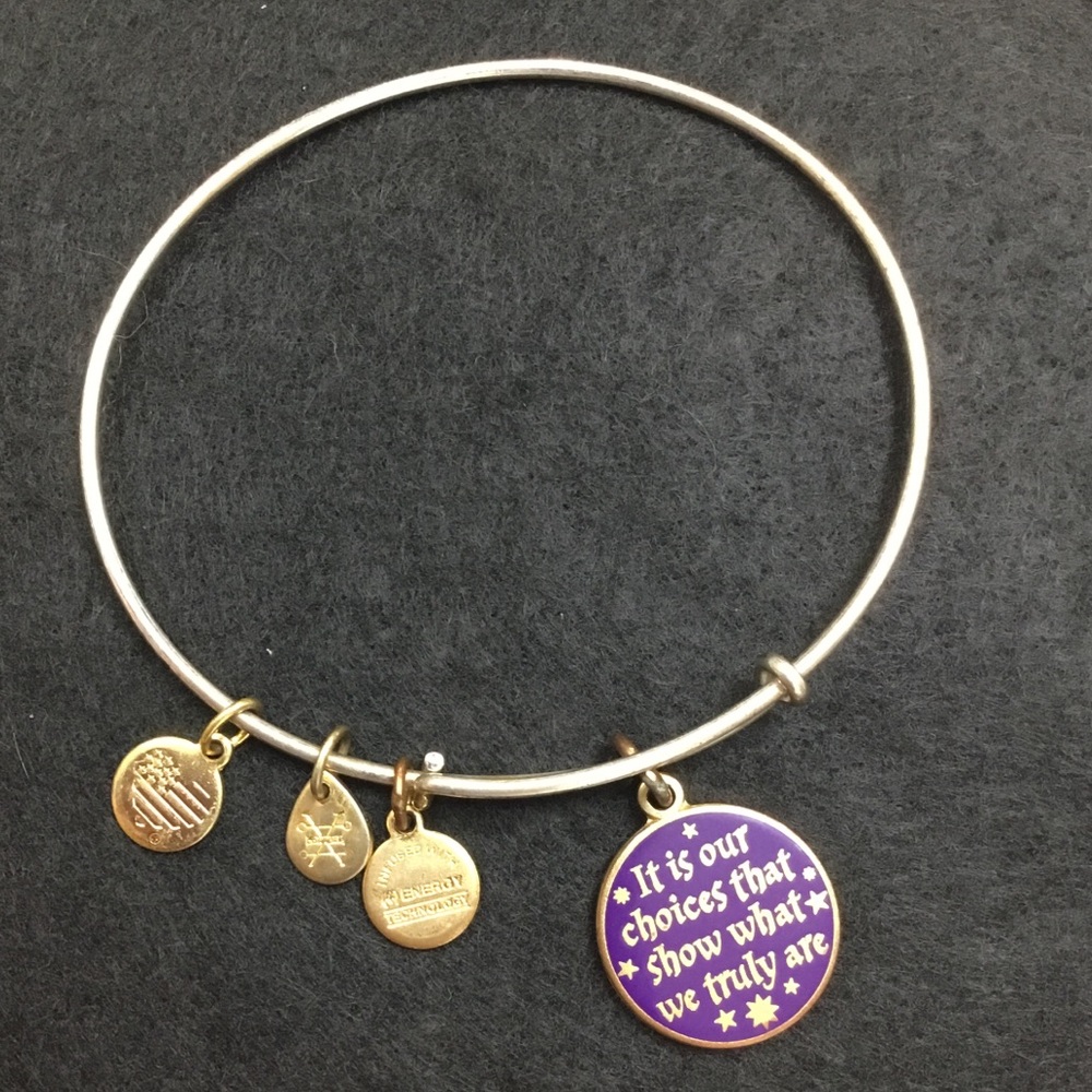 Alex and Ani Harry Potter Its Our Choices Charm Bangle Slide Bracelet